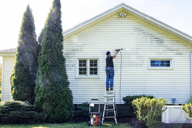 Best Roof Pressure Washing  in North Beach Haven, NJ