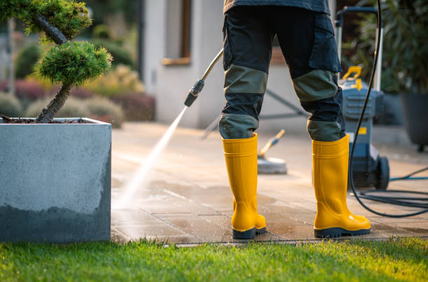 Best House Pressure Washing  in North Beach Haven, NJ